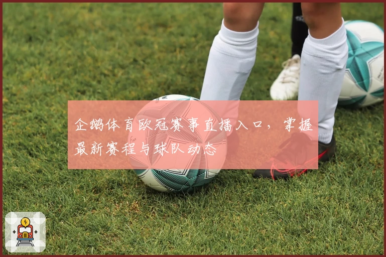 企鹅体育欧冠赛事直播入口，掌握最新赛程与球队动态
