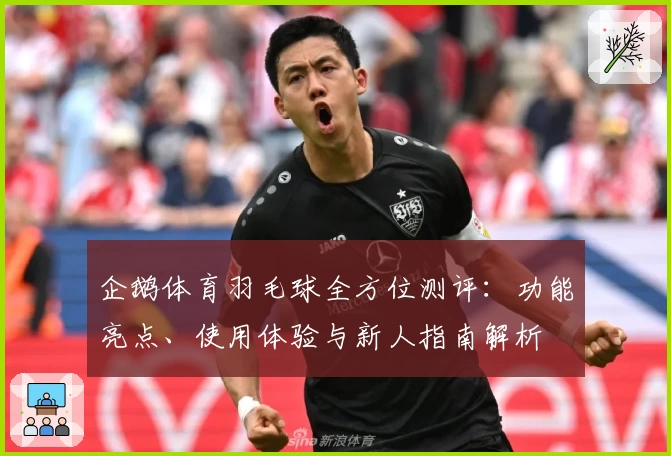 企鹅体育羽毛球全方位测评：功能亮点、使用体验与新人指南解析