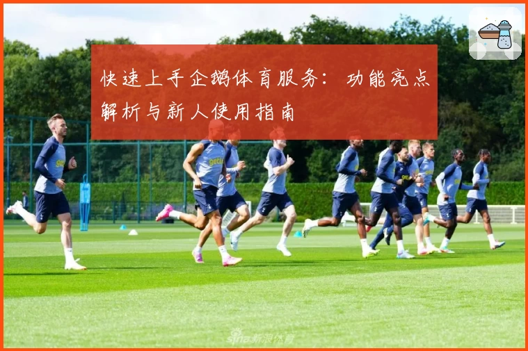 快速上手企鹅体育服务：功能亮点解析与新人使用指南