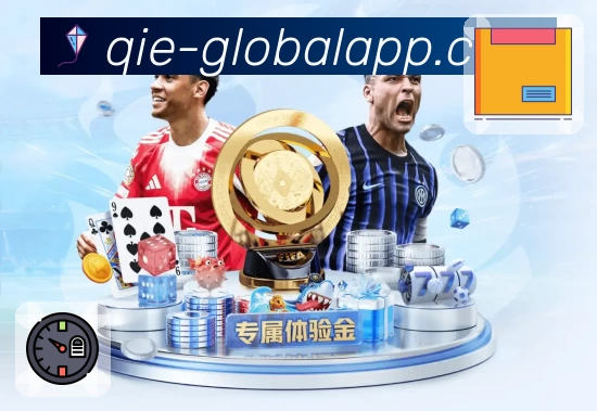 功能图2